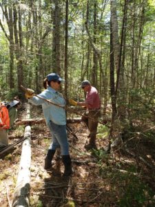 Holly and Jim Coombs, Weskeag River Preserve, trail clearing